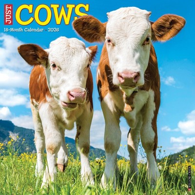 Willow Creek Press 2026 Cows Wall Calendar