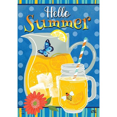 Briarwood Lane Garden Flag 12x18 For Outdoor Hello Summer Lemonade For Summer Garden Flag Flags For Outside