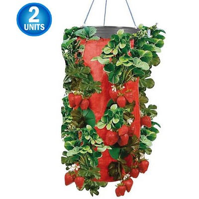5 Star Super Deals 2 Vertical Strawberry & Herb Gardening Grow Bag Planter - Upside Down Herb Planter