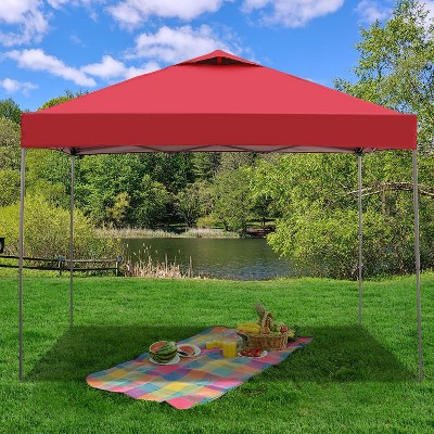 Ainfox 10'×10'  Portable Canopy With Carrying Bag