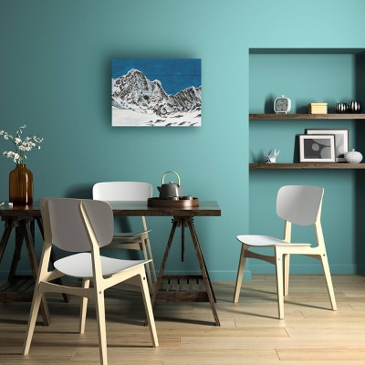 Trademark Fine Art Michael Willett Pristine Peaks II Wood Slat Art