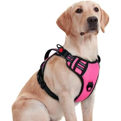 rabbitgoo Dog Harness Medium Sized, , Easy Walking Harness with 2 Leash Clips, Pink, M