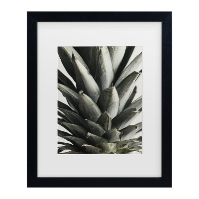 Trademark Fine Art - Pictufy Studio III Pineapple Close Up Matted Framed Art