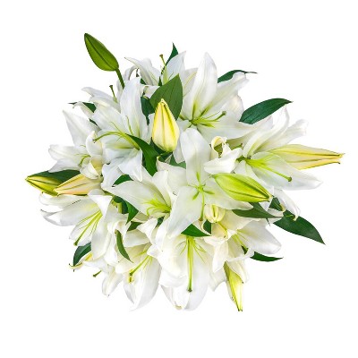 Fresh Cut Oriental Lily Flowers - 30 Stems