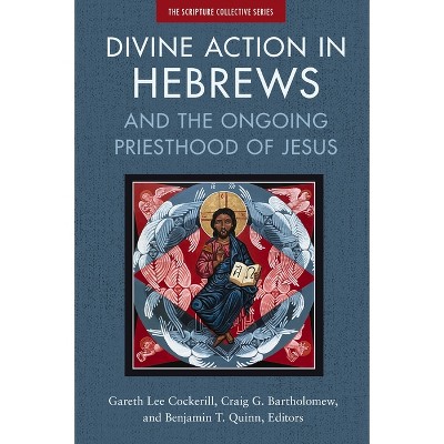 Divine Action in Hebrews - (The Scripture Collective) by  Zondervan (Paperback)