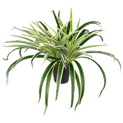 Northlight 13" Two-Tone Grass Artificial Potted Plant - Green/White