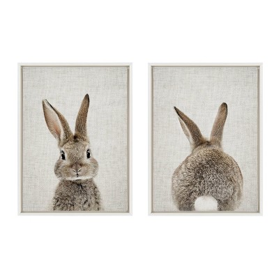 (Set of 2) 18" x 24" Sylvie Bunny Portrait And Tail Framed Canvas Set - Kate & Laurel All Things Decor