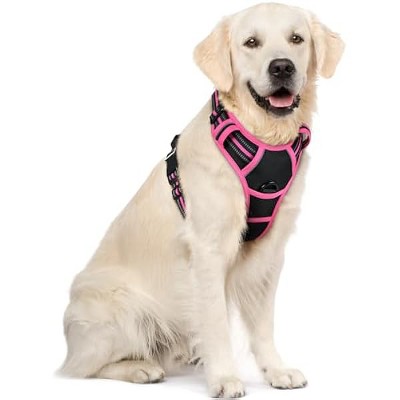 rabbitgoo Dog Harness No Pull with 2 Leash Clips, , Reflective Oxford No Choke Pet Vest with Easy Control Handle for Large Dogs, Black & Hot Pink, XL