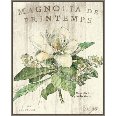 23" x 28" Magnolia de Printemps by Sue Schlabach Framed Canvas Wall Art Print - Amanti Art: Modern Style, Lithograph Medium, Polystyrene Frame