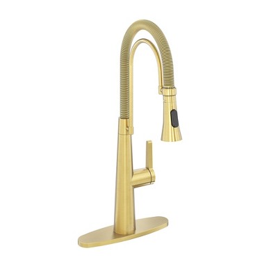CASAINC Single-Handle Spring Neck Standard Kitchen Faucet with Dual Function Sprayhead and Deckplate Included in Brushed Nickel