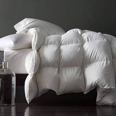 Premium Feathers Down Duvet Insert, Queen Size, Medium Warmth, White 100 Cotton Cover with Corner Tabs 90x90, 50 oz
