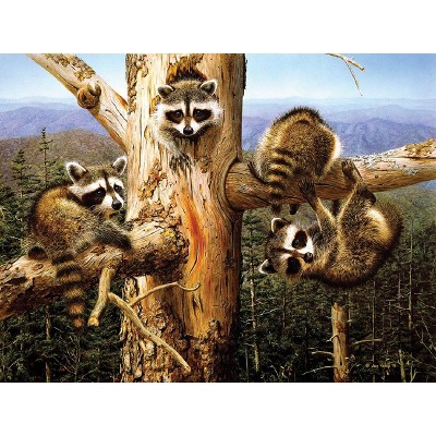 Sunsout Balancing Act 300 pc Jigsaw Puzzle 17606