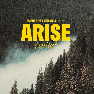 Amaury Ensemble Faye - Arise (suite) (CD)