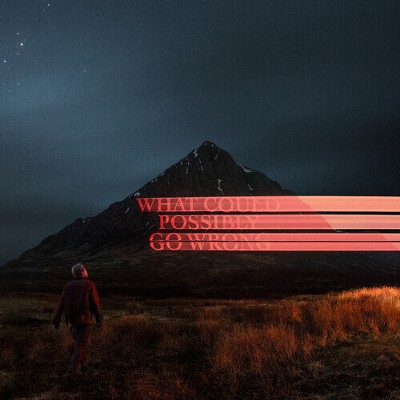 Dominic Fike - What Could Possibly Go Wrong (Explicit Lyrics 140 Gram Vinyl Gatefold LP Jacket Poster)