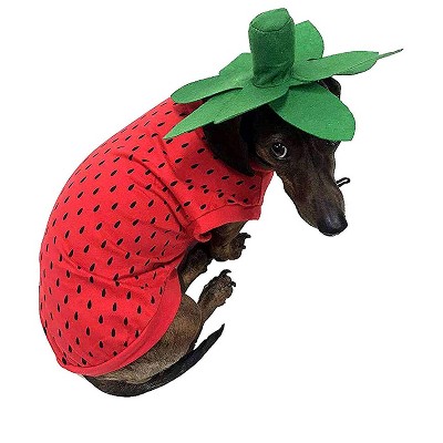 Midlee Strawberry Dog Costume