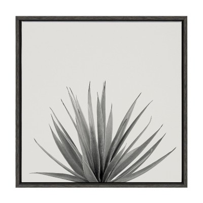 Kate and Laurel Sylvie Haze Agave Succulent Framed Canvas by The Creative Bunch Studio, 22x22, Dark Gray