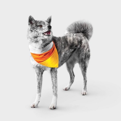 Reflective Candy Corn Costume Dog Bandana - Boots & Barkley™ One Size Fits Most