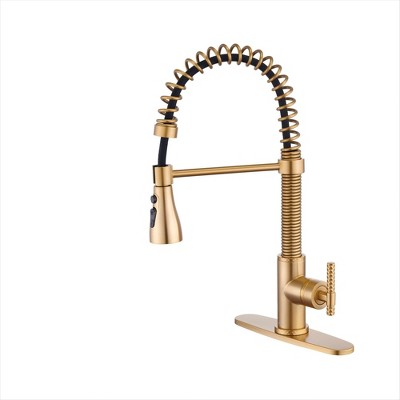 CASAINC Single Handle Kitchen Faucet