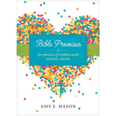 Bible Promises for Parents of Children with Special Needs - by  Amy E Mason (Paperback)
