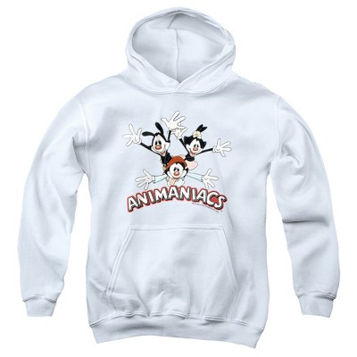 Boys’ Animaniacs Animaniacs Trio Hooded Sweatshirt