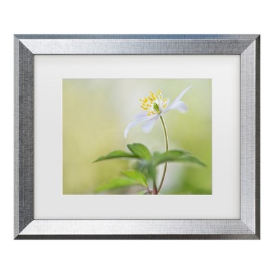 Trademark Fine Art - Heidi Westum Spring light Matted Framed Art
