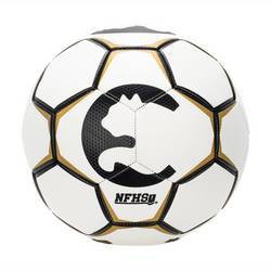 ProCat by Puma Breakaway Size 5 NFHS Sports Ball - White/Gold