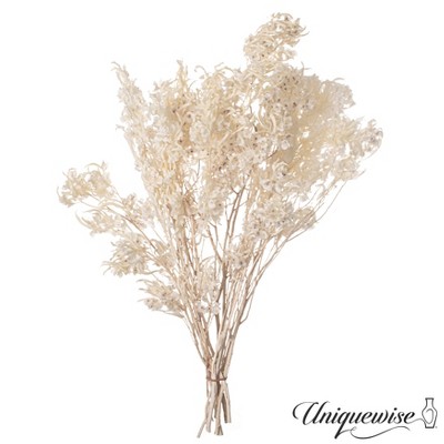 Uniquewise Preserved Real Floral Stems Chic Vase Fillers & Accents for Bouquets Centerpieces