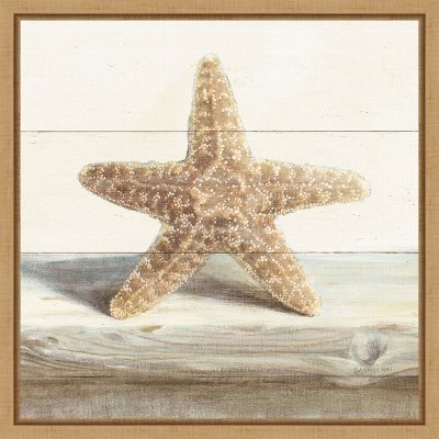 Amanti Art Driftwood Shell III by Danhui Nai Canvas Wall Art Print Framed 16 x 16-in.