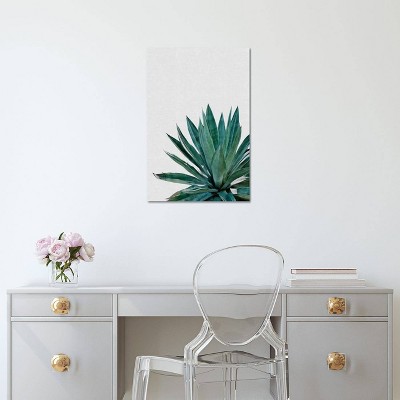 iCanvas Agave Cactus by Orara Studio Canvas Print Wall Art
