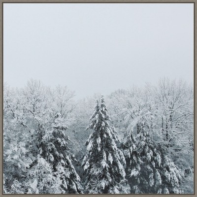 Amanti Art Snowshoe Hill Deep Crop by Sue Schlabach Framed Canvas Wall Art