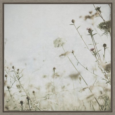 Amanti Art Wild Flowers II No Texture by Deborah Revell Framed Canvas Wall Art
