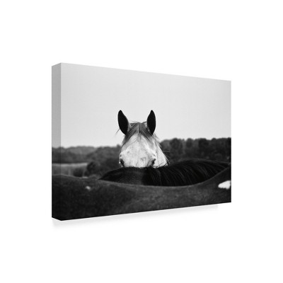Trademark Fine Art -Aledanda 'Flirt White Horse' Canvas Art