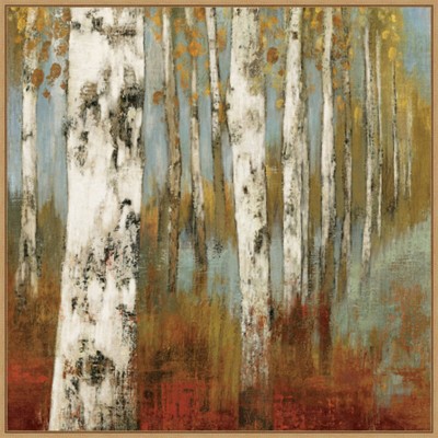 30" x 30" Along The Path II by Allison Pearce Framed Canvas Wall Art Print - Amanti Art: Modern Landscape, Large Decor