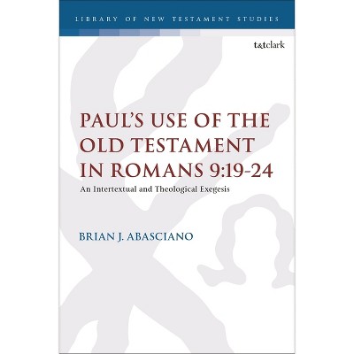 Paul's Use of the Old Testament in Romans 9:19-24 - (Library of New Testament Studies) by Brian J Abasciano