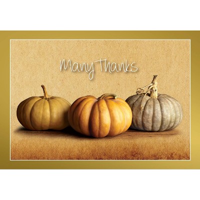 50ct Fall Pumpkins Thank You Note Cards: Great Papers! Multicolor Boxed Stationery with Foil Accents, 5"x3.625"