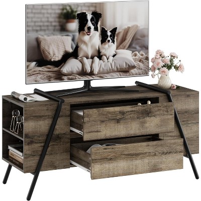 TV Stand for 65 Inch TV, Entertainment Center with Adjustable Shelf, 2 Drawers, TV Console Table, Media Console, U-Shaped Metal Legs