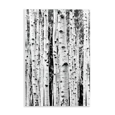 Stupell Industries Birch Trees Forest, 13" x 19"
