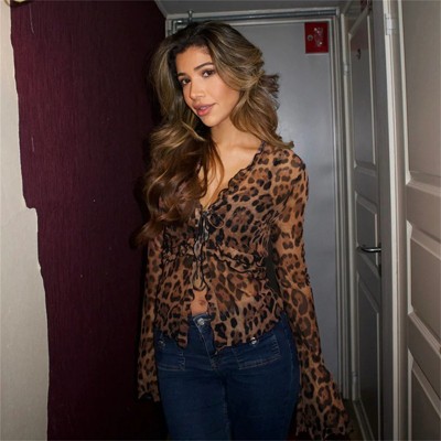 Clotth Y2k Leopard Print Mesh Top - Long Sleeve Ruffle Shrug Cardigan, Tie Front Top, French Style, Dark brown with Leopard Print