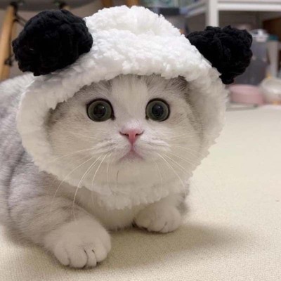 1 Or 2pcs Cute Cat Costume Warm Bear Hats For Cat Adjustable Soft Small Pet Headwear Bear Hat For Cat Puppy Dog Holiday Christmas Halloween