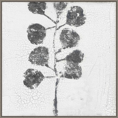 30" x 30" Minimalism I by Elena Ray Framed Canvas Wall Art Print - Amanti Art: Botanical Lithograph