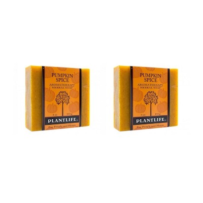 Pumpkin Spice Bar Soap 2-Pack | Cozy Aromatherapy Cleanser with Warm, Spiced Scent | Natural Daily Body Care | Plantlife