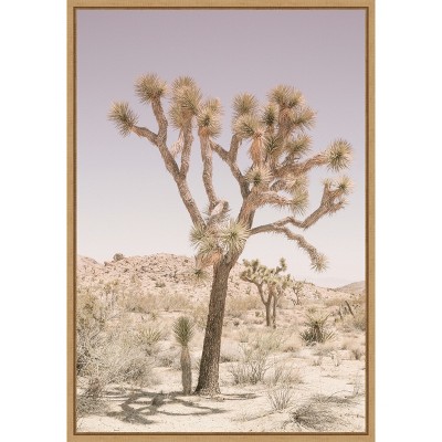 Amanti Art Joshua Tree by Shot by Clint Canvas Wall Art Print Framed