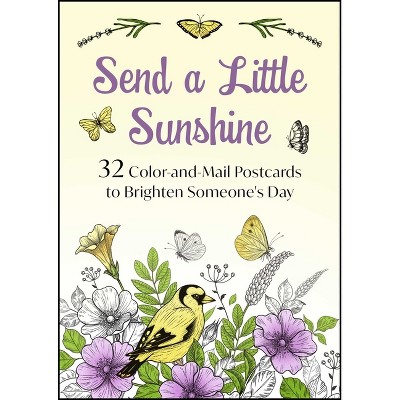 Send a Little Sunshine - by  Good Books (Hardcover)