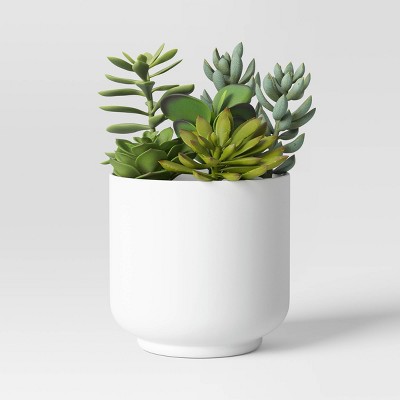 Succulent Arrangement in White Pot - Room Essentials™