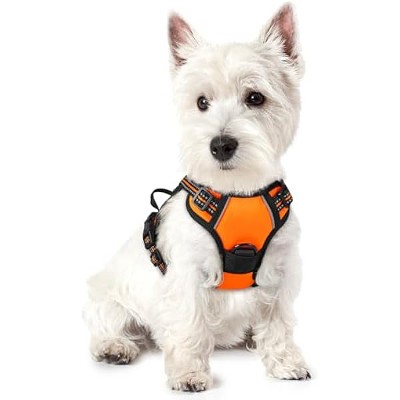 rabbitgoo Dog Harness No Pull with 2 Leash Clips, Oxford No Choke Pet Vest with Easy Control Handle for Puppy, Orange,XS