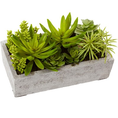 Nearly Natural Succulent Garden with Concrete Planter