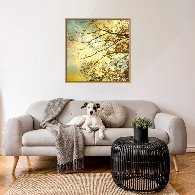 Amanti Art Storm Clouds II by Judy Stalus Framed Canvas Wall Art Print