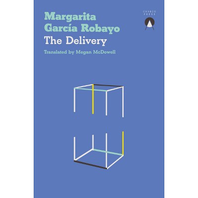 The Delivery - by  Margarita García Robayo (Paperback)