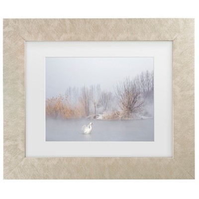 Trademark Fine Art - Uu  The Winter Swan Matted Framed Art