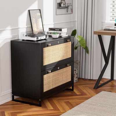 Karl Home 2-Drawer Black MDF 29.53in. W Lateral File Cabinet